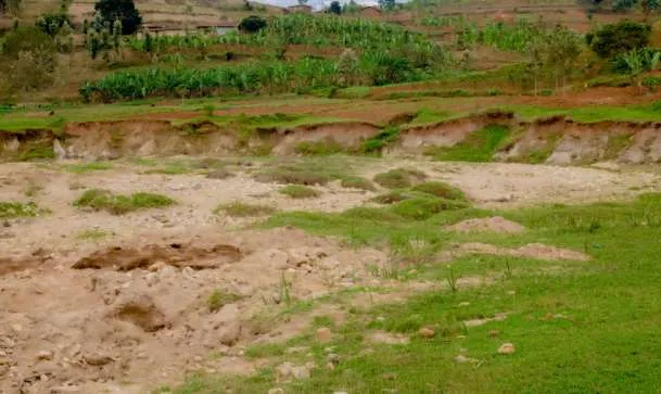 Eroded, gullied farmland assessed in the field