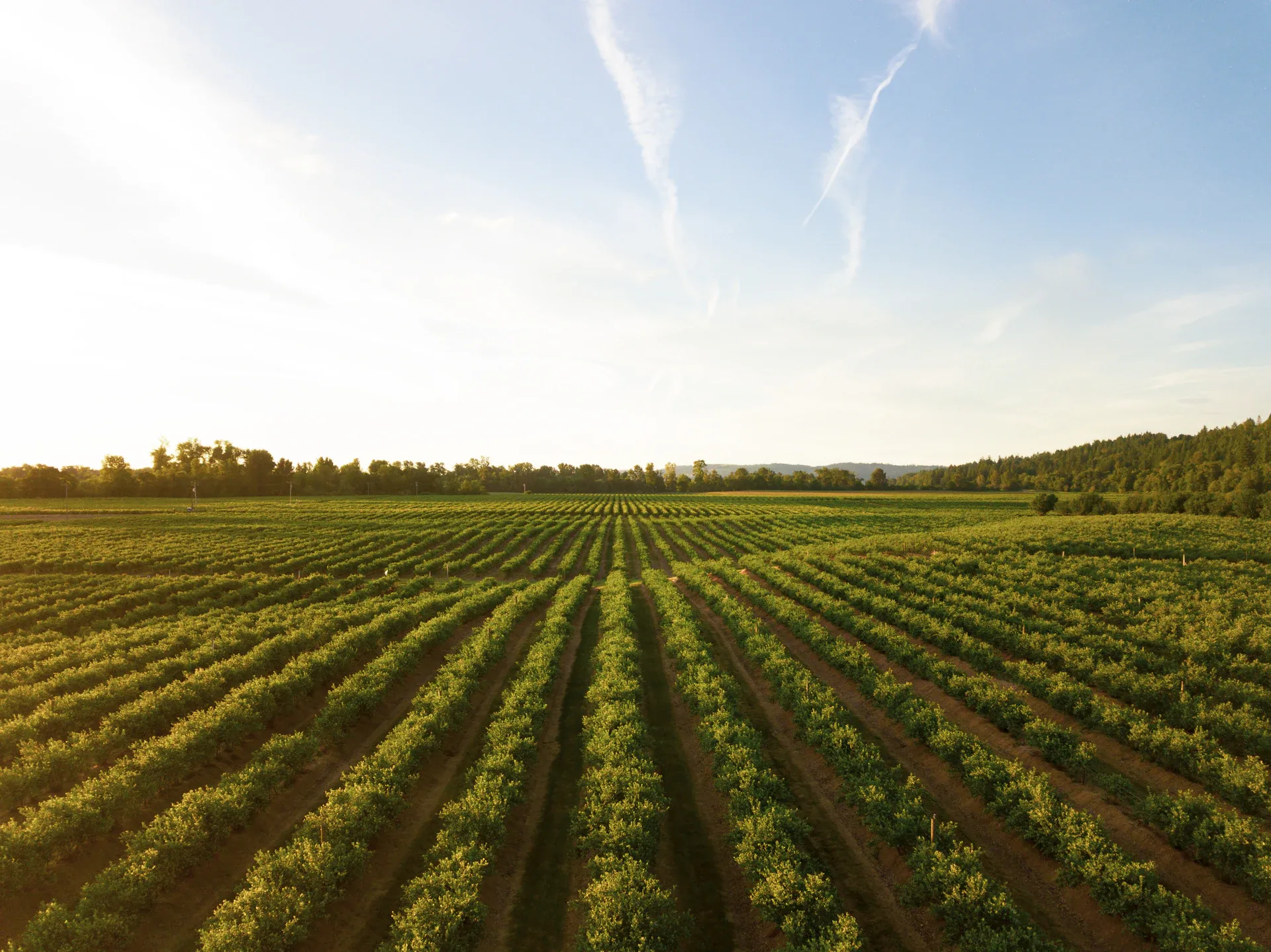 Eroded, gullied farmland assessed in the field